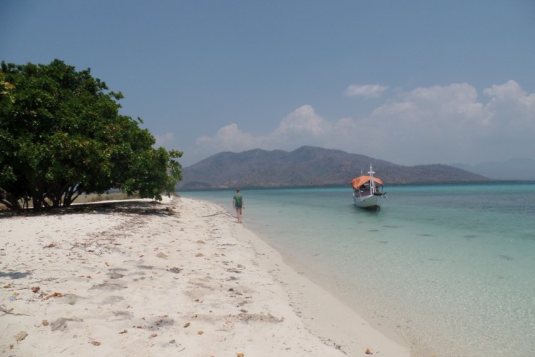 ???????????????????????