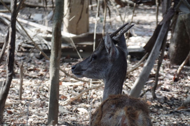 ???????????????????????