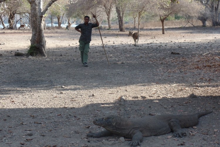 ???????????????????????