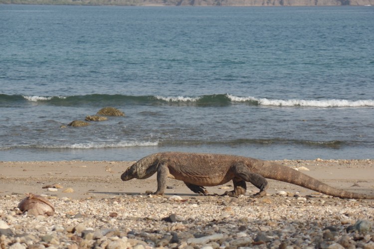 ???????????????????????