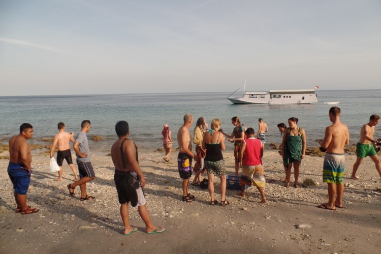 ???????????????????????