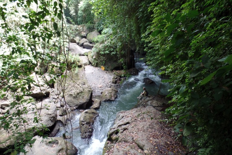 ???????????????????????