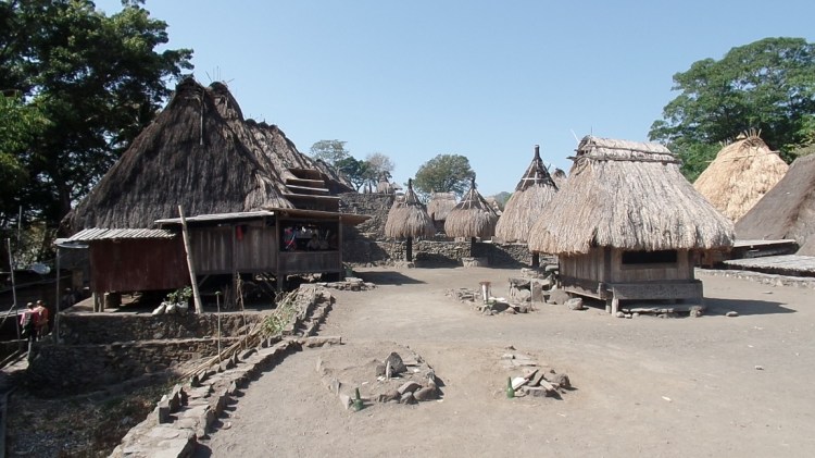 ???????????????????????