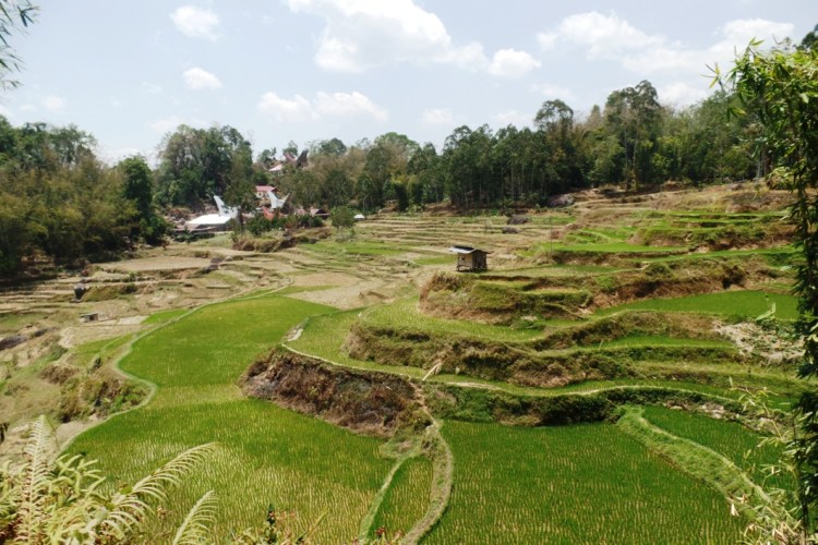 ???????????????????????