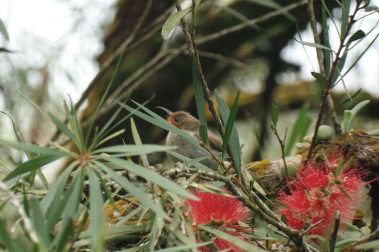 ???????????????????????