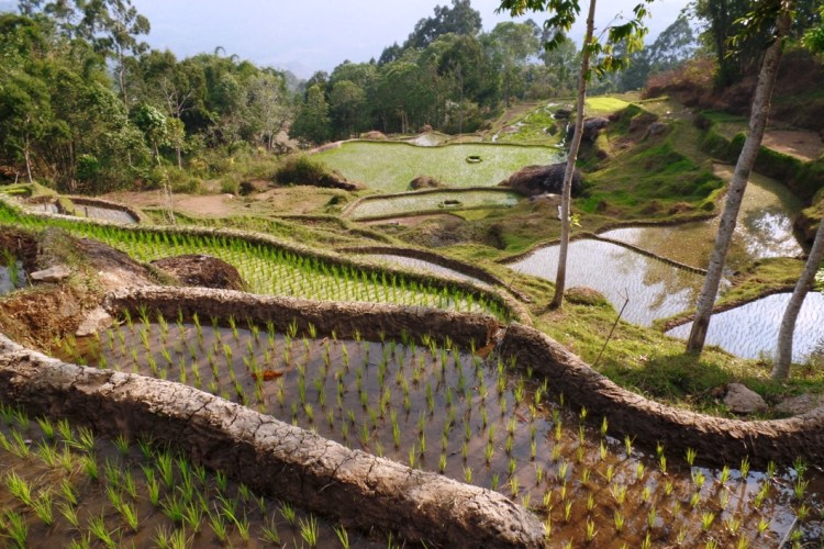 ???????????????????????