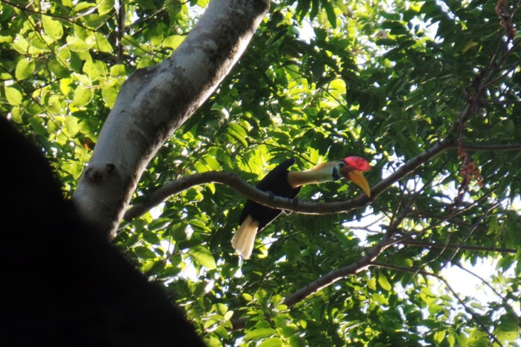 ???????????????????????