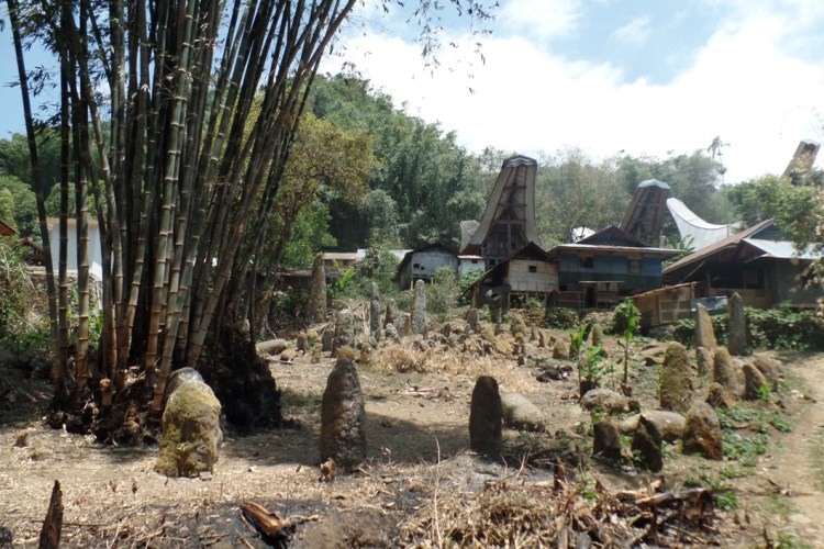 ???????????????????????