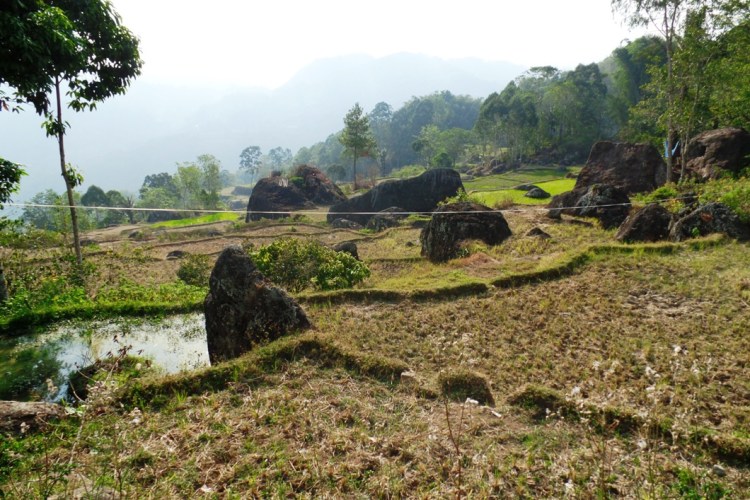 ???????????????????????