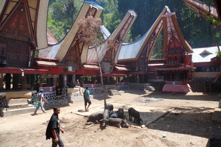 ???????????????????????