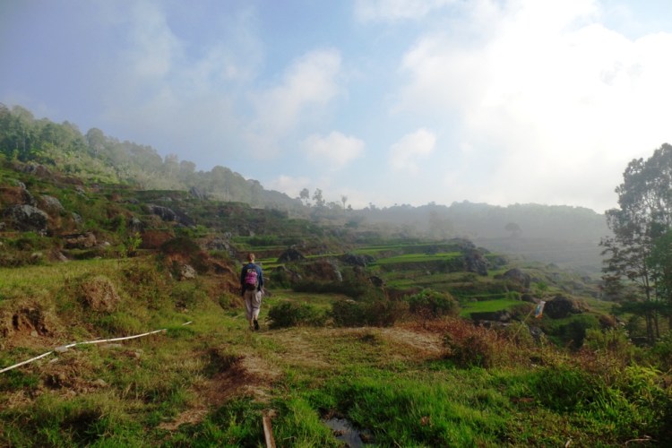 ???????????????????????