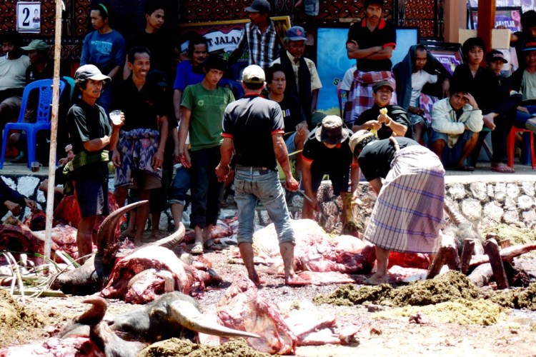 ???????????????????????