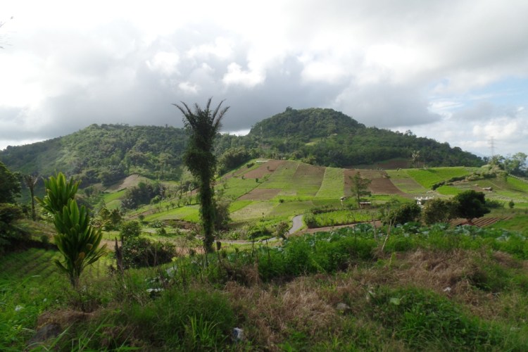 ???????????????????????