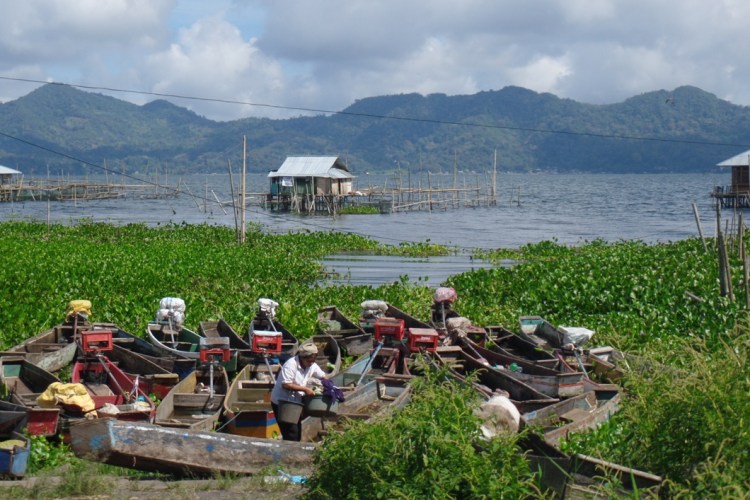 ???????????????????????