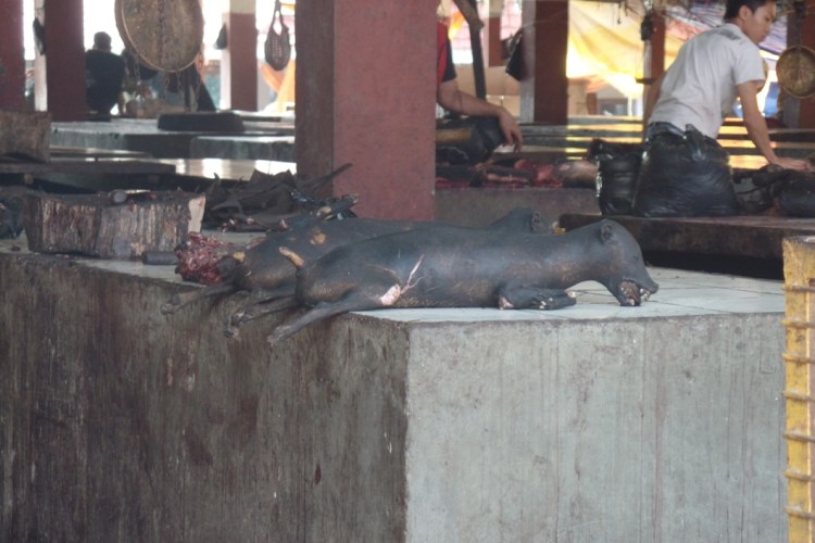 ???????????????????????