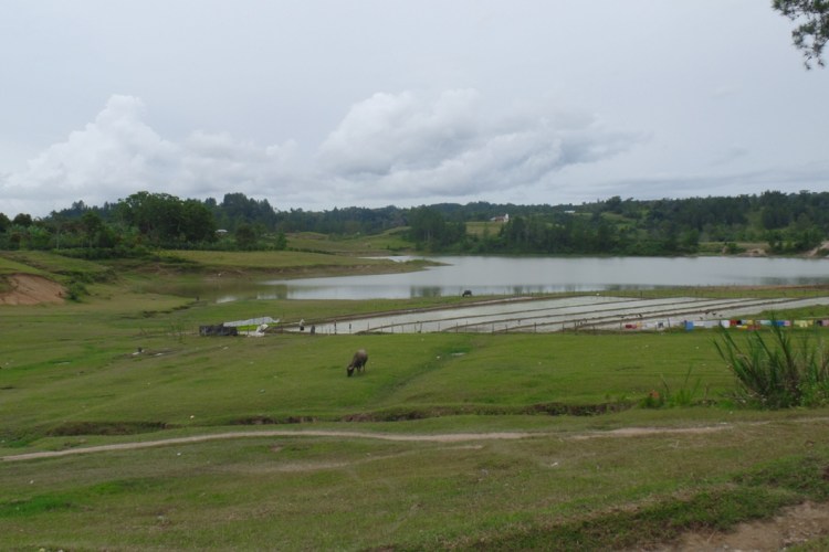 ???????????????????????