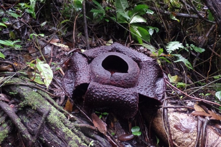 ???????????????????????