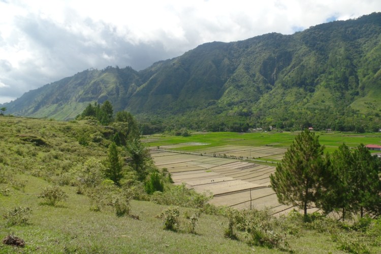 ???????????????????????