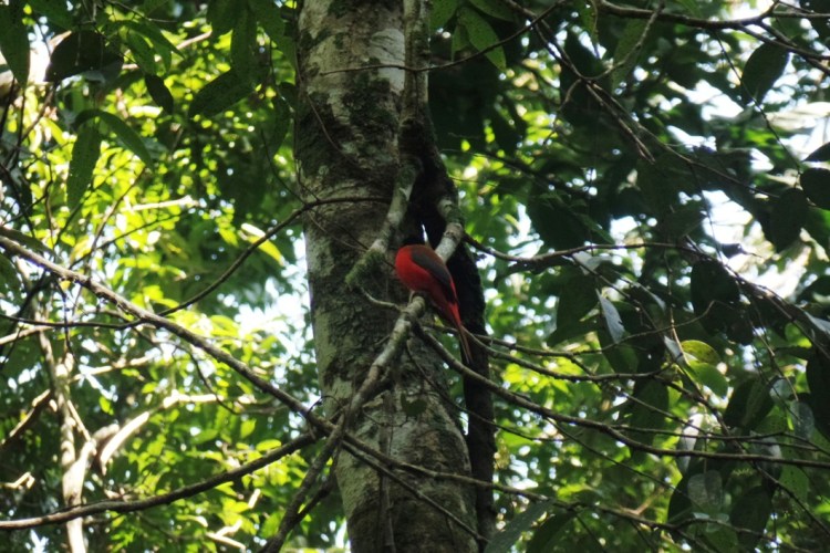 ???????????????????????