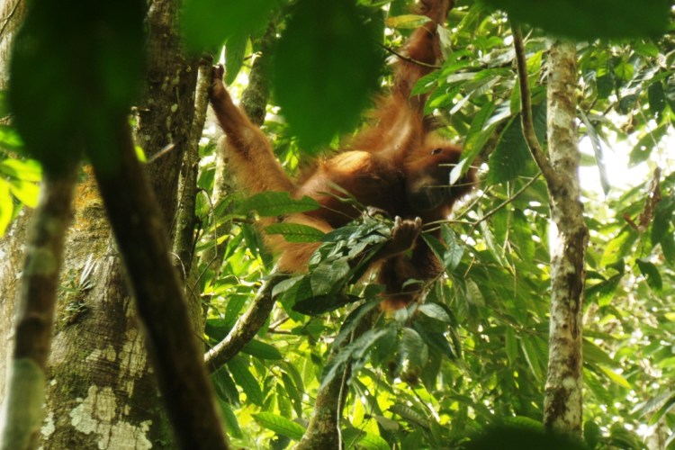 ???????????????????????