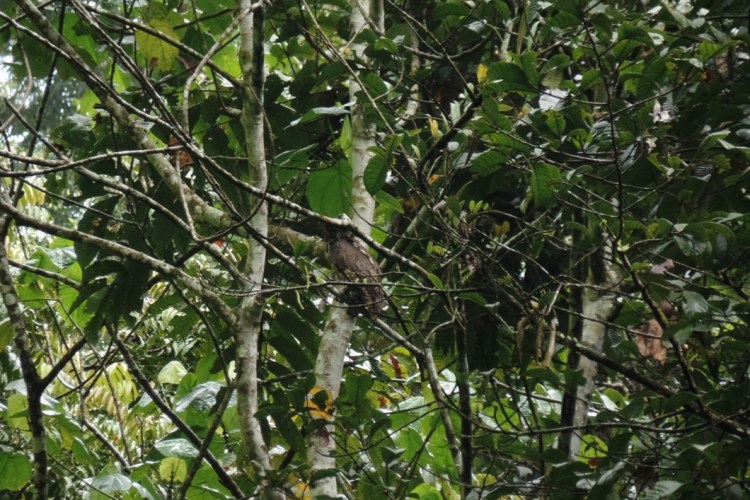 ???????????????????????