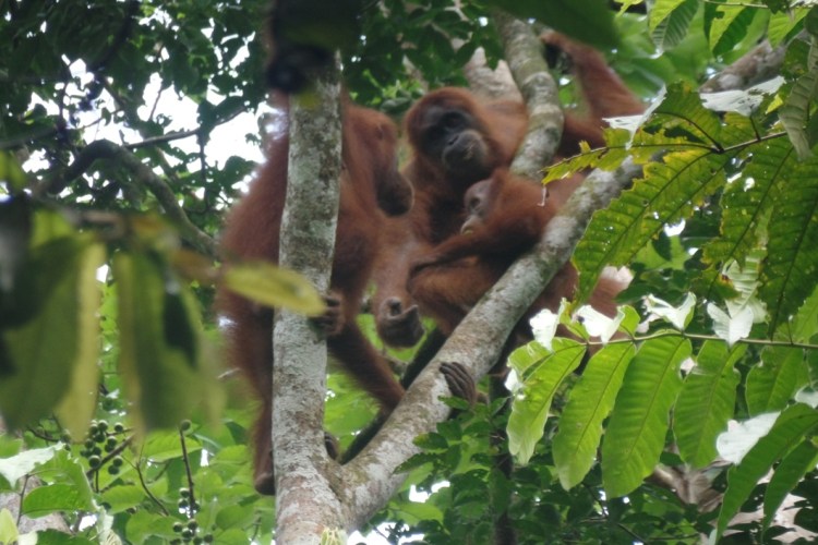 ???????????????????????