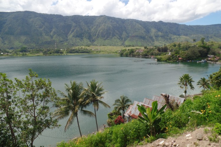 ???????????????????????