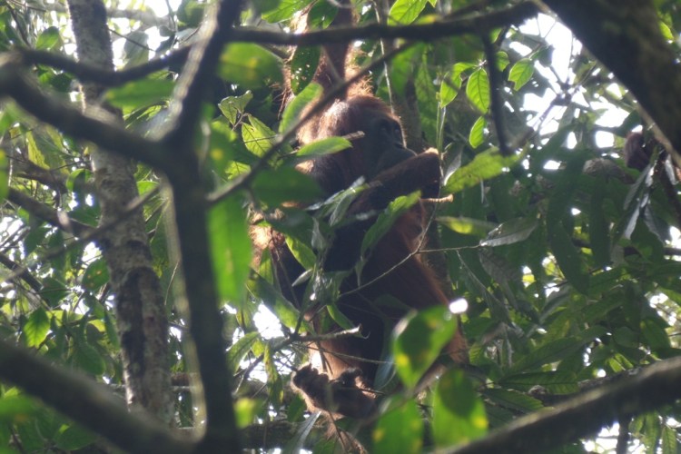 ???????????????????????