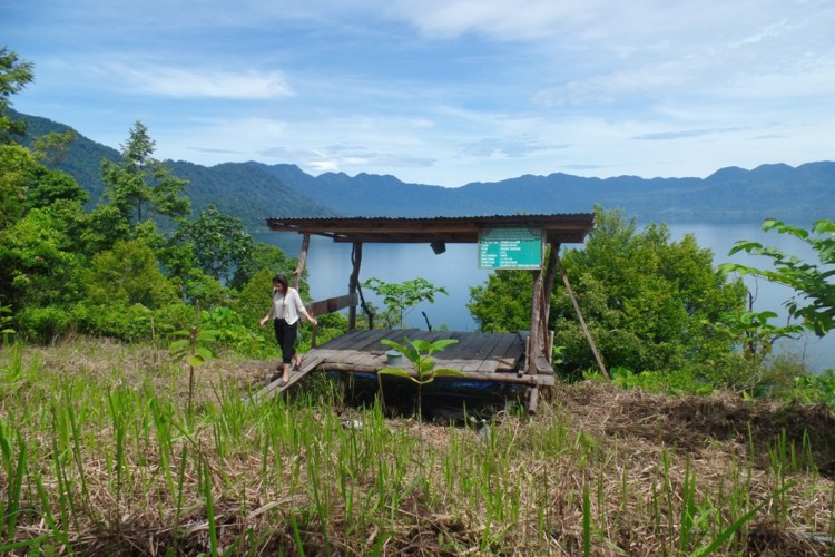 ???????????????????????