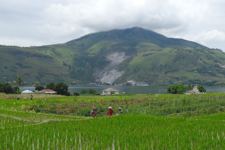 ???????????????????????