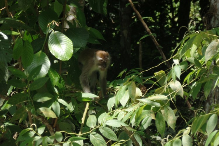 ???????????????????????