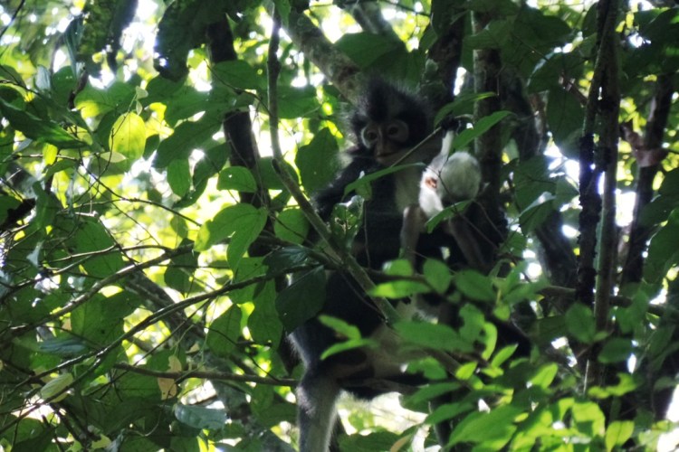 ???????????????????????