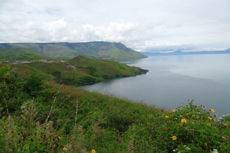 ???????????????????????