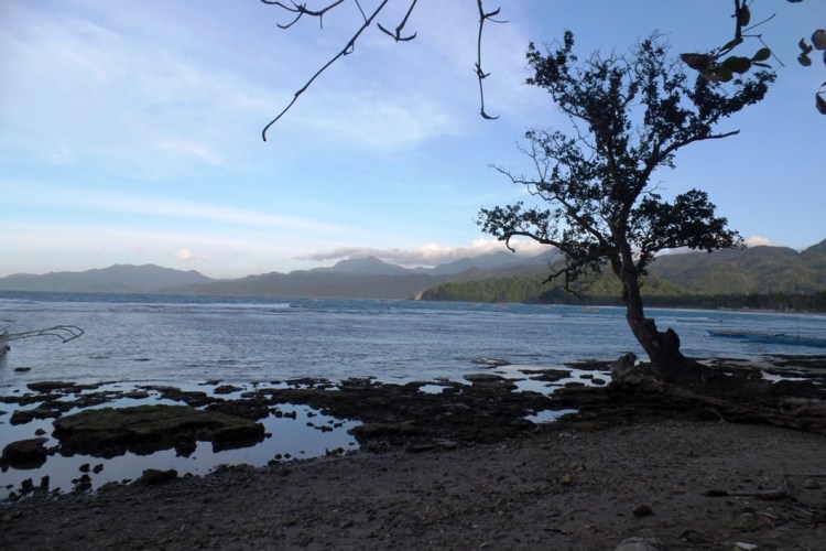 ???????????????????????