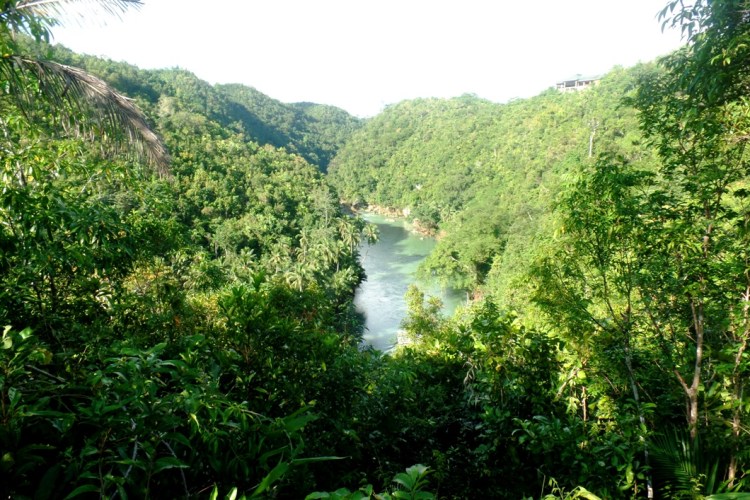 ???????????????????????