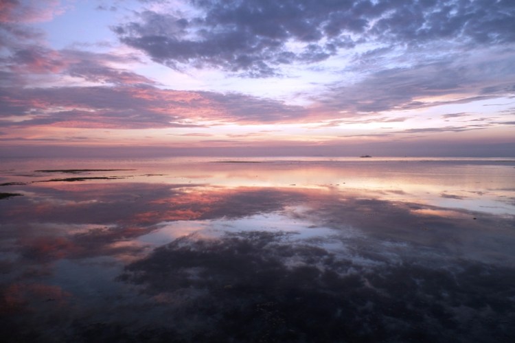 ???????????????????????