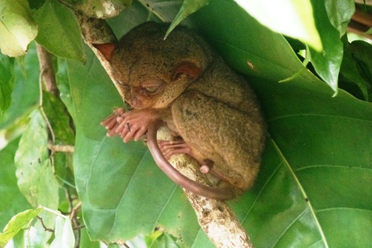 ???????????????????????