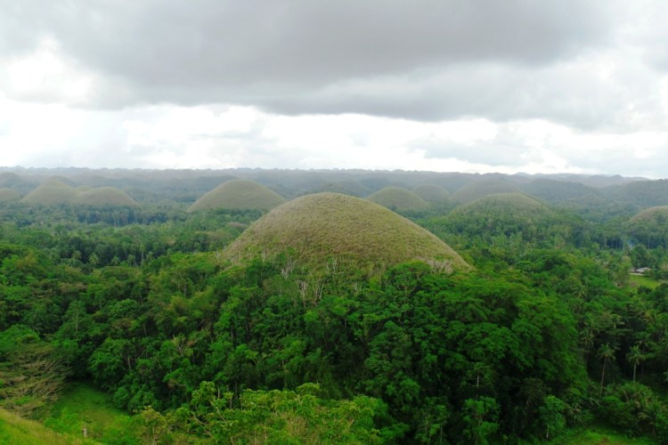 ???????????????????????