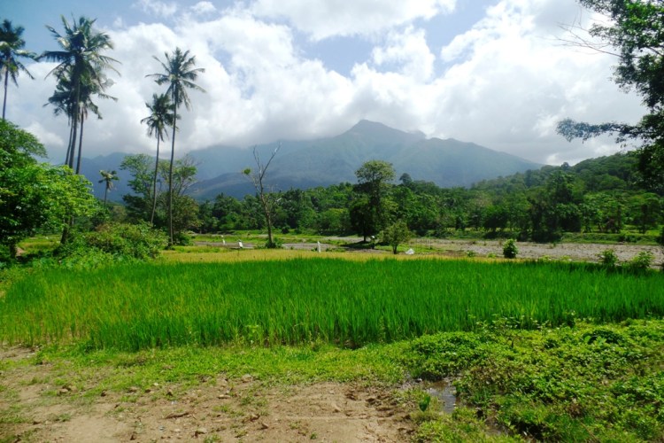 ???????????????????????