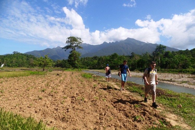 ???????????????????????