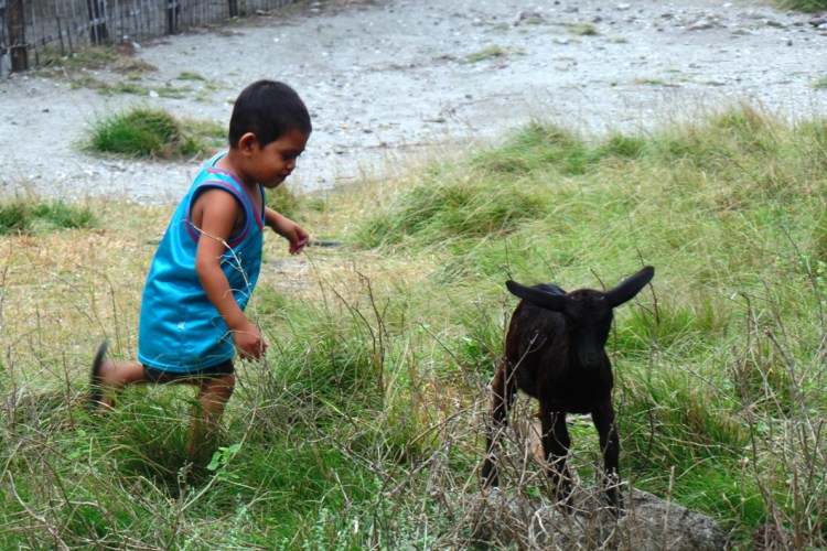 ???????????????????????