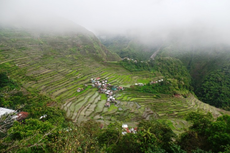 ???????????????????????