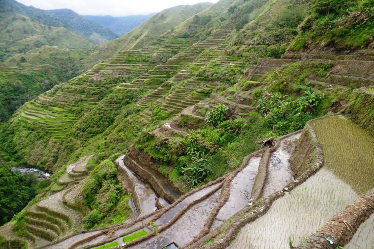 ???????????????????????