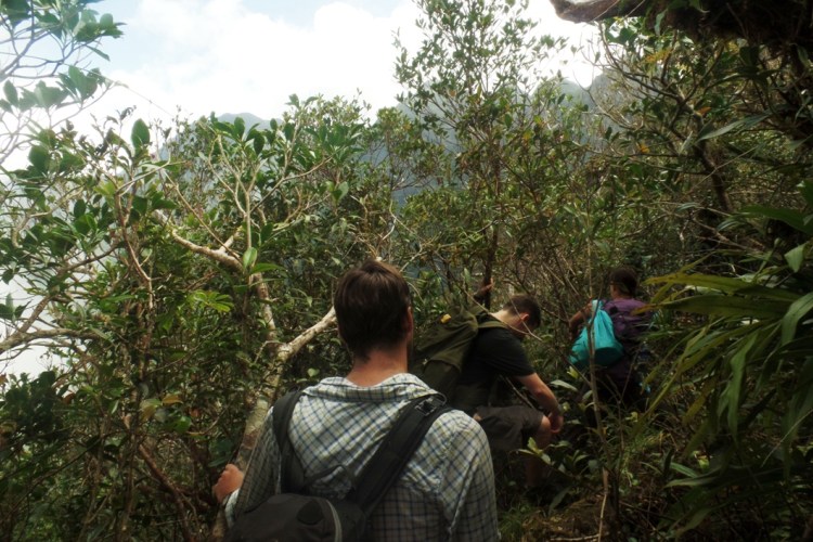 ???????????????????????