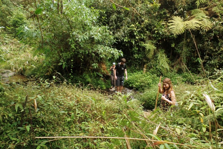 ???????????????????????