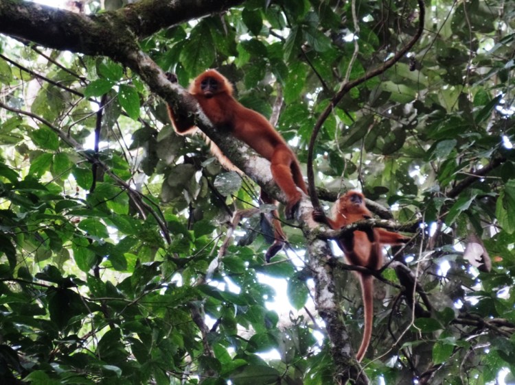 ???????????????????????