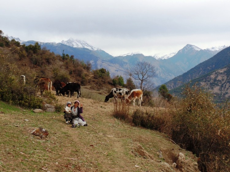 ???????????????????????