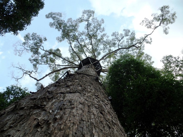 ???????????????????????