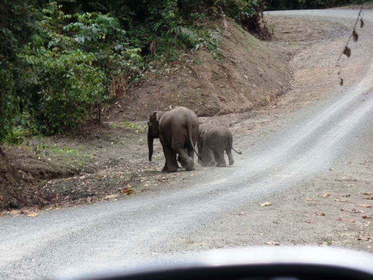 ???????????????????????