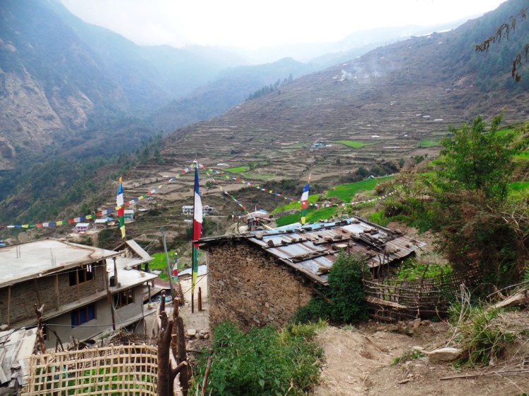 ???????????????????????